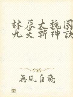 林辰大魏国小说九天斩神诀