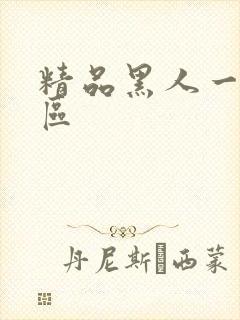 精品黑人一区=区
