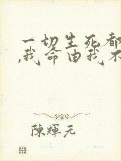 一切生死都看淡,我命由我不由天