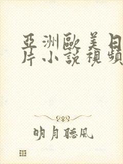 亚洲欧美日韩图片小说视频