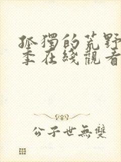 孤独的荒野第七季在线观看