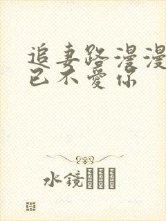 追妻路漫漫,她已不爱你