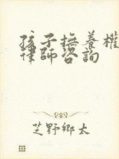 孩子抚养权起诉律师咨询