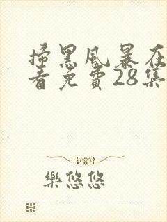 扫黑风暴在线观看免费28集