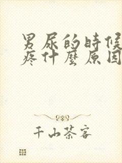 男尿的时候有点疼什么原因