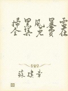 扫黑风暴电视剧全集免费在线观看