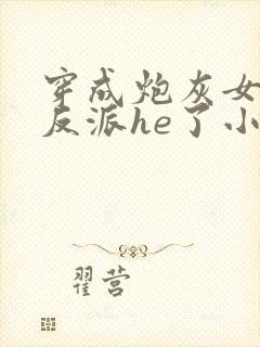 穿成炮灰女配和反派he了小说封面