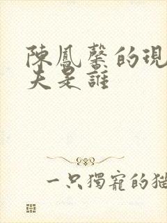 陈凤馨的现任丈夫是谁