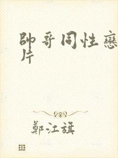 帅哥同性恋黄色片封面