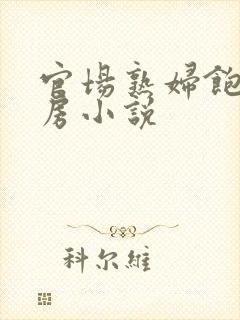 官场熟妇饱满乳房小说