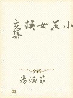 交换女友小说合集封面