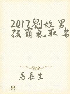 2017刘姓男孩霸气取名