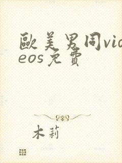 欧美男同videos免费