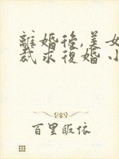 离婚后,美女总裁求复婚 小楚封面