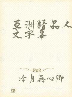 亚洲精品人妻中文字幕封面