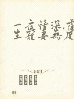 一夜情深,霍先生宠妻无度 小说