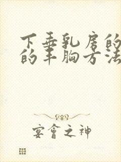 下垂乳房的比较的丰胸方法