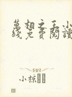 万相之王小说在线免费阅读完整版封面