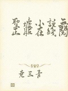 圣墟小说无删减正版在线阅读封面