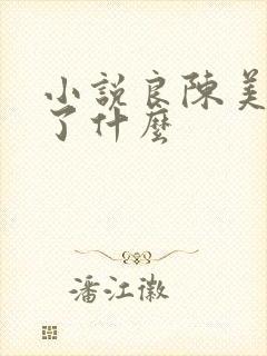 小说良陈美锦讲了什么