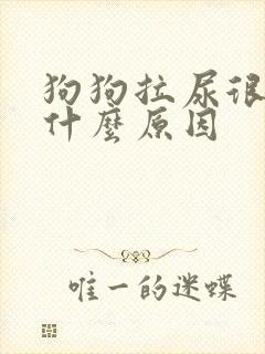 狗狗拉尿很黄是什么原因