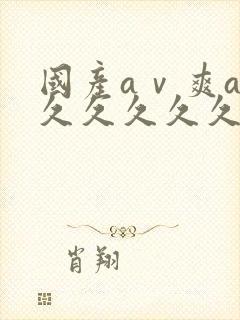 国产aⅴ爽av久久久久久久久19色封面