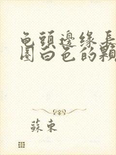 龟头边缘长了一圈白色的颗粒