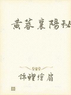 黄蓉襄阳秘史封面