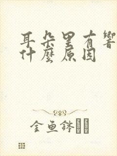 耳朵里有响声是什么原因