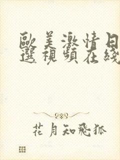 欧美激情日韩精选视频在线观看