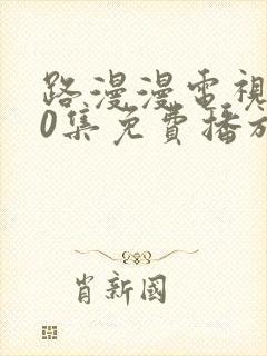 路漫漫电视剧40集免费播放封面