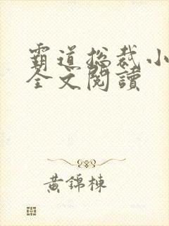 霸道总裁小娇妻全文阅读