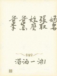 爸爸姓张妈妈姓李怎么取名