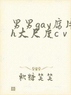 男男gay腐片h大尺度cⅴ小蓝