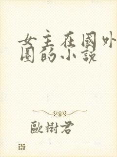 女主在国外娱乐圈的小说封面