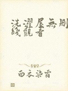 洗濯屋无删减在线观看