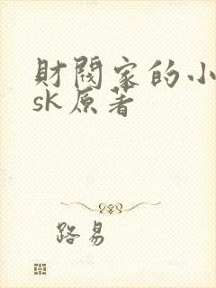 财阀家的小儿子sk原著
