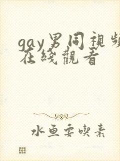 gay男同视频在线观看