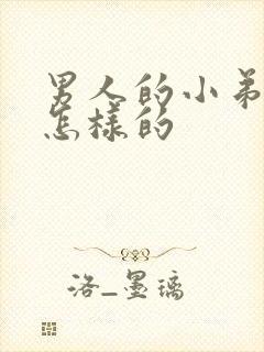 男人的小弟弟是怎样的