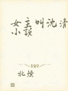 女主叫沈清若的小说