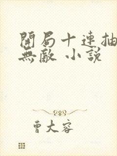 开局十连抽然后无敌 小说封面