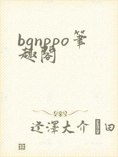 bgnppo笔趣阁