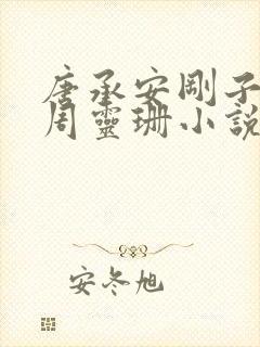 唐承安刚子老婆周灵珊小说免费阅读