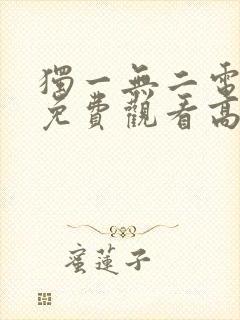 独一无二电视剧免费观看高清