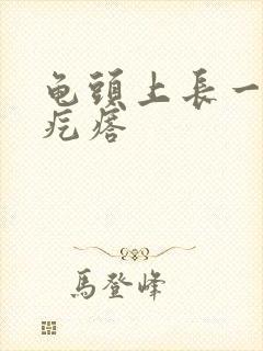 龟头上长一圈小疙瘩封面