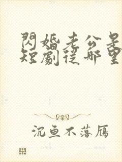 闪婚老公是总裁短剧从哪里看全片