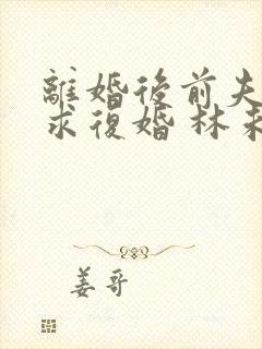 离婚后前夫哭着求复婚 林未央