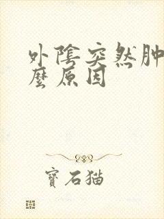 外阴突然肿疼什么原因