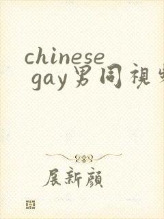 chinese gay男同视频网站