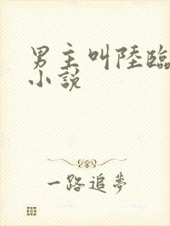 男主叫陆临川的小说封面